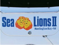 Sea Lions II